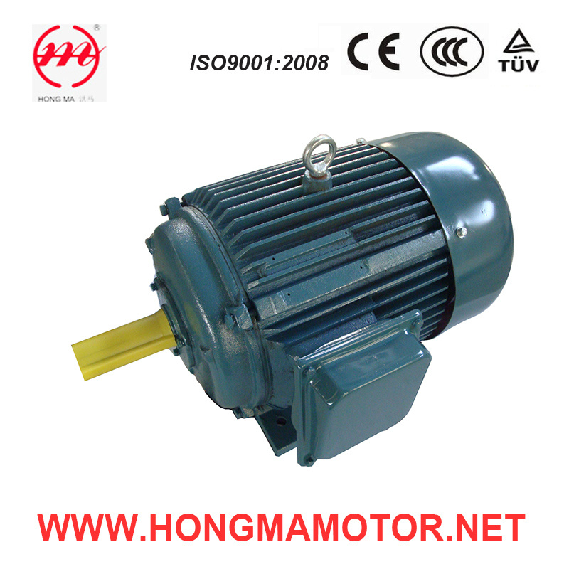 Three Phase Squirrel-Cage Variable Speed Three Phase Motor (250M-6P/4P-32/42KW)