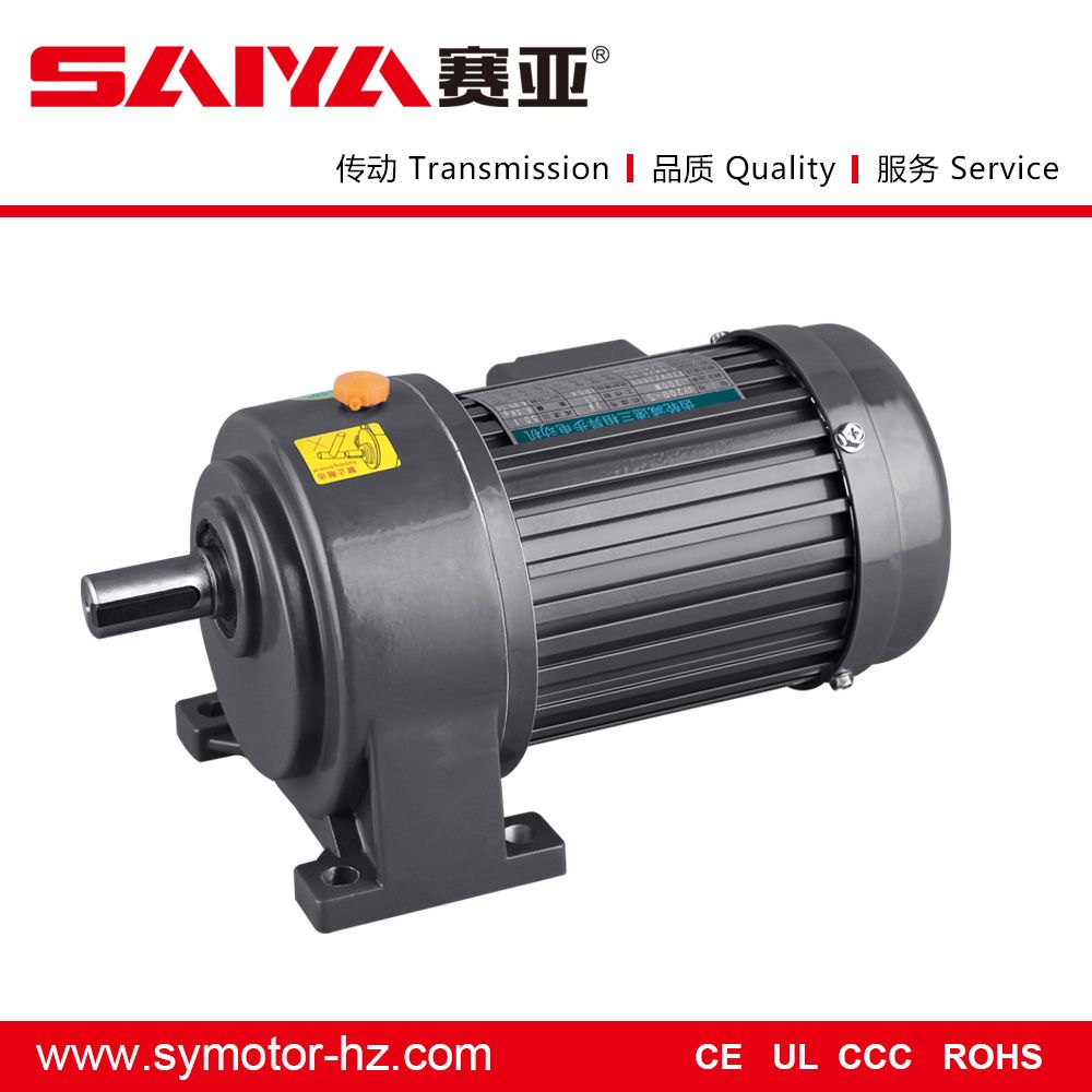 Ce RoHS Small AC Gear Motor