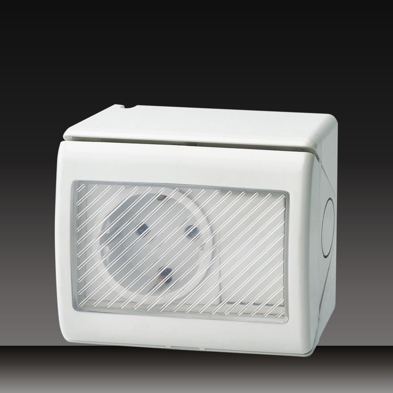 16A 250V Waterproof Switched Socket (LGL-RS)