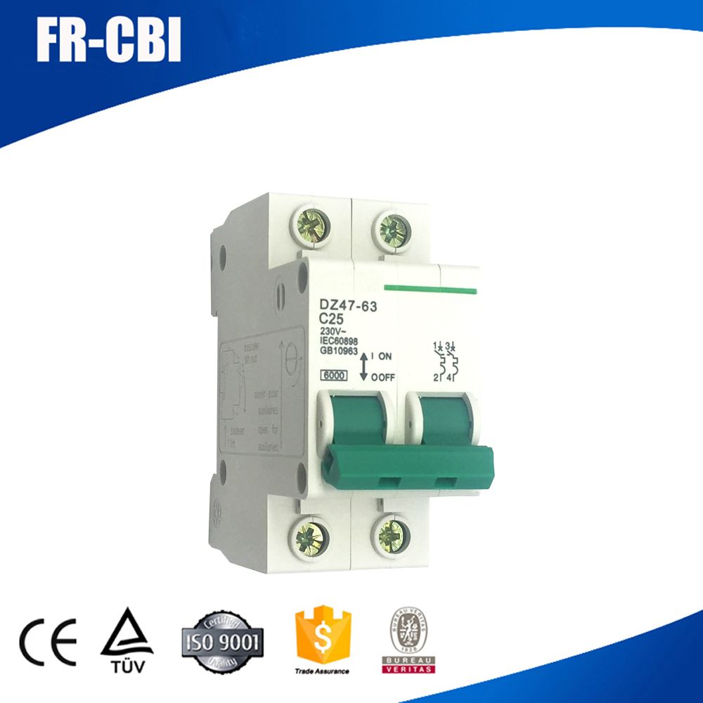 Dz47-63/C45 Miniature Circuit Breaker- MCB with Competitive Price