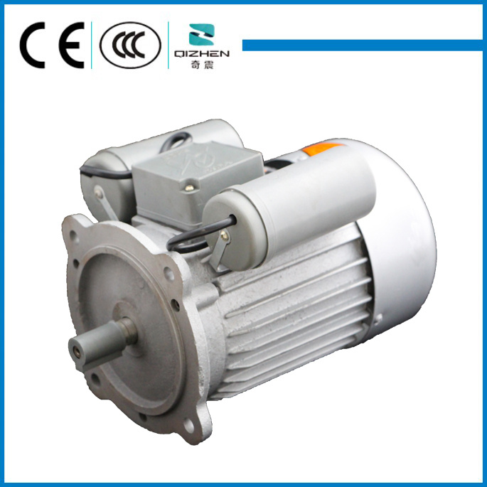 YL Single Phase Low Rpm High Torque Electric AC Motor