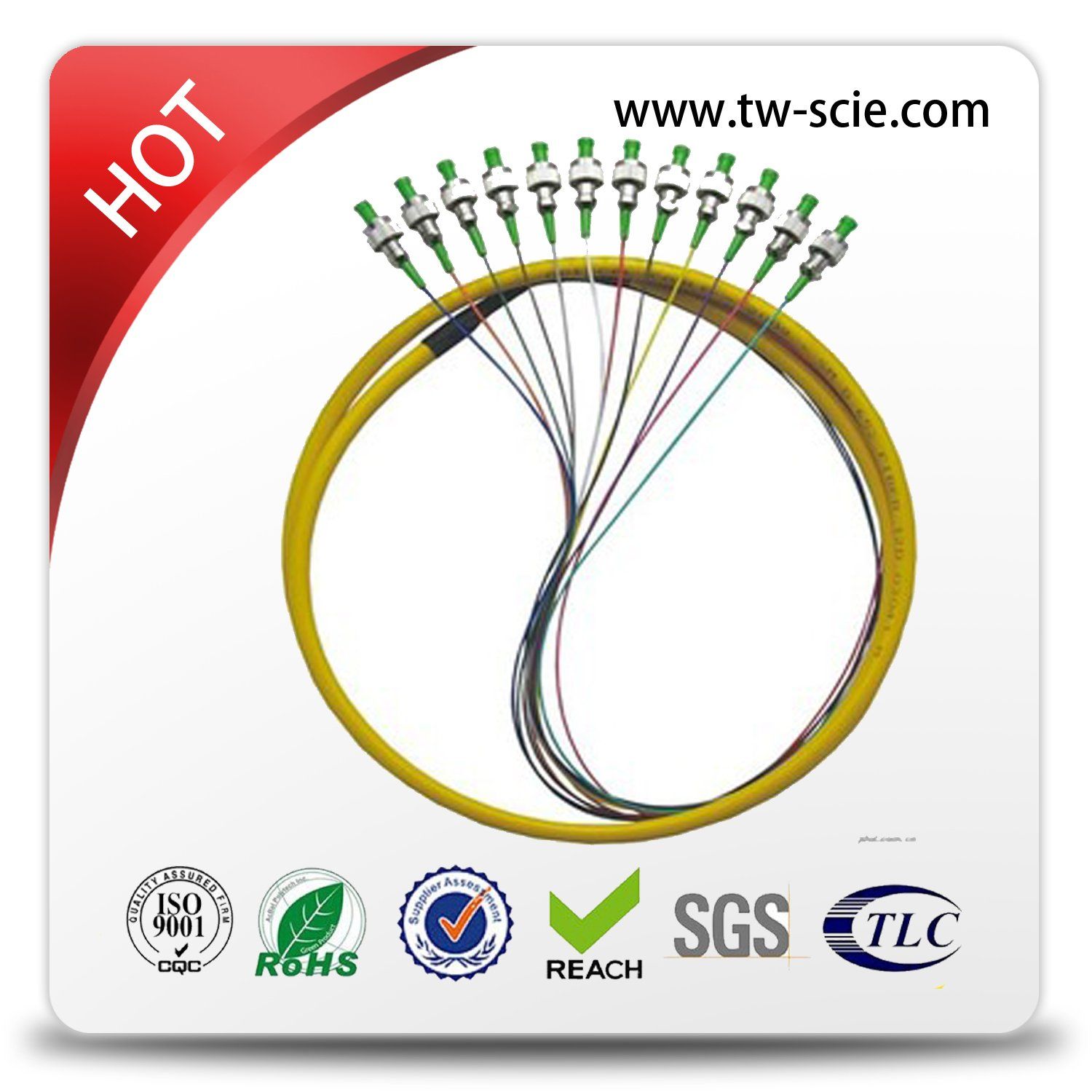 24 or 48 Core Fiber Optic Distribution Breakout Patch Cord