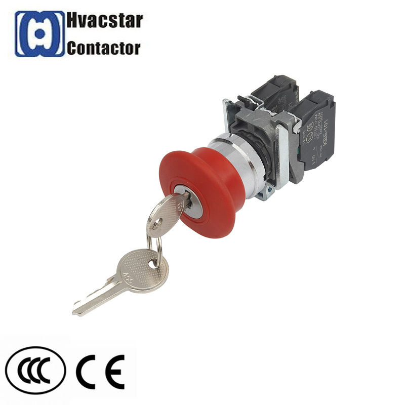 Newest (Ronis n° 455) Emergency Stop Push Button Switch with Key