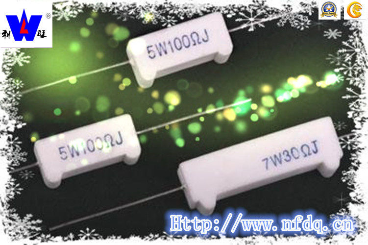 Rx27-2 Cement Fixed Resistor with ISO9001