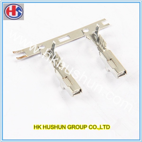 Supply Precision Brass Terminal From China (HS-DZ-0053)