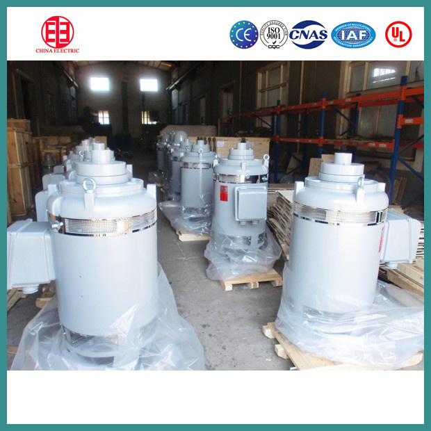 Deep Well Vertical Hollow Shaft Vhs Pump Electric Motor