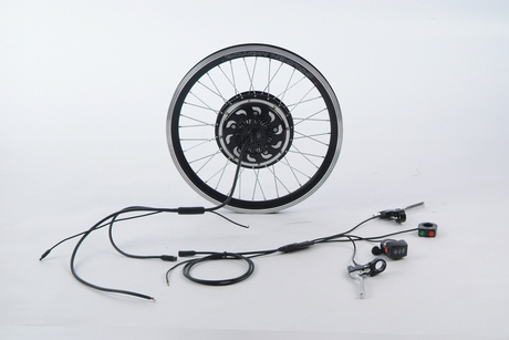 Brushless Programmable BLDC Hub Motor