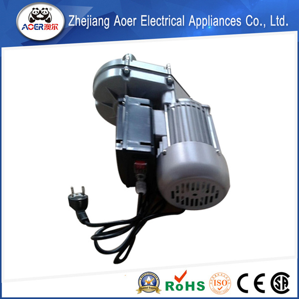 Single Phase High Torque Reversible Reducer Electric AC Mixer Motor