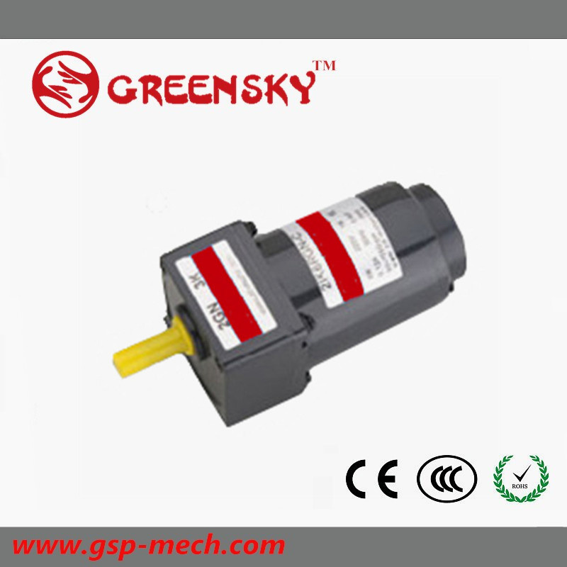 Speed Adjustable 6W Micro AC Motor