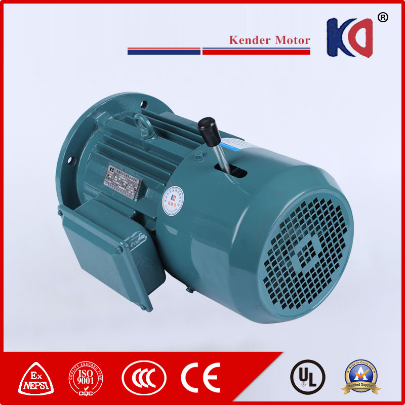 Electromagnetic Induction AC Motor with Wholesale Price