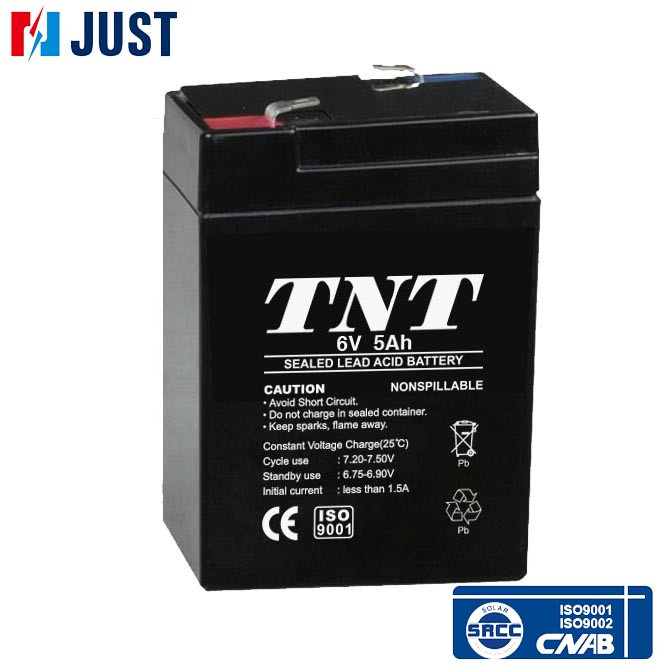 6V 5ah AGM Valve Regulated Sealed Lead-Acid Battery