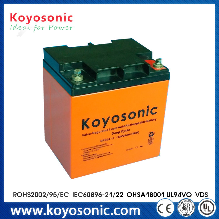 UPS Battery 12V 24ah Battery in Long Life Span