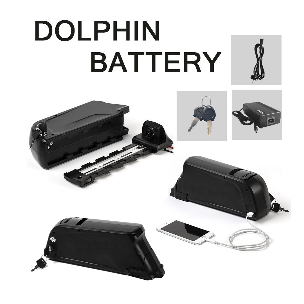 36V 10.4ah Down Tube Type Battery with Charger