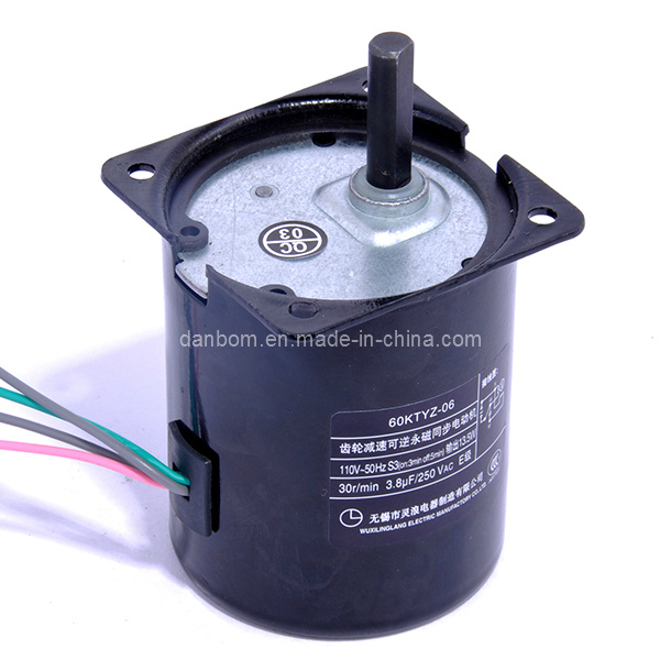 Permanent Magnet Reversible Synchronous Gear Motor 30rpm
