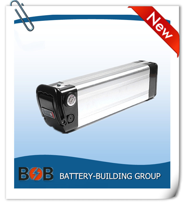 Free Shipping 48V 10ah Lithium Battery Pack