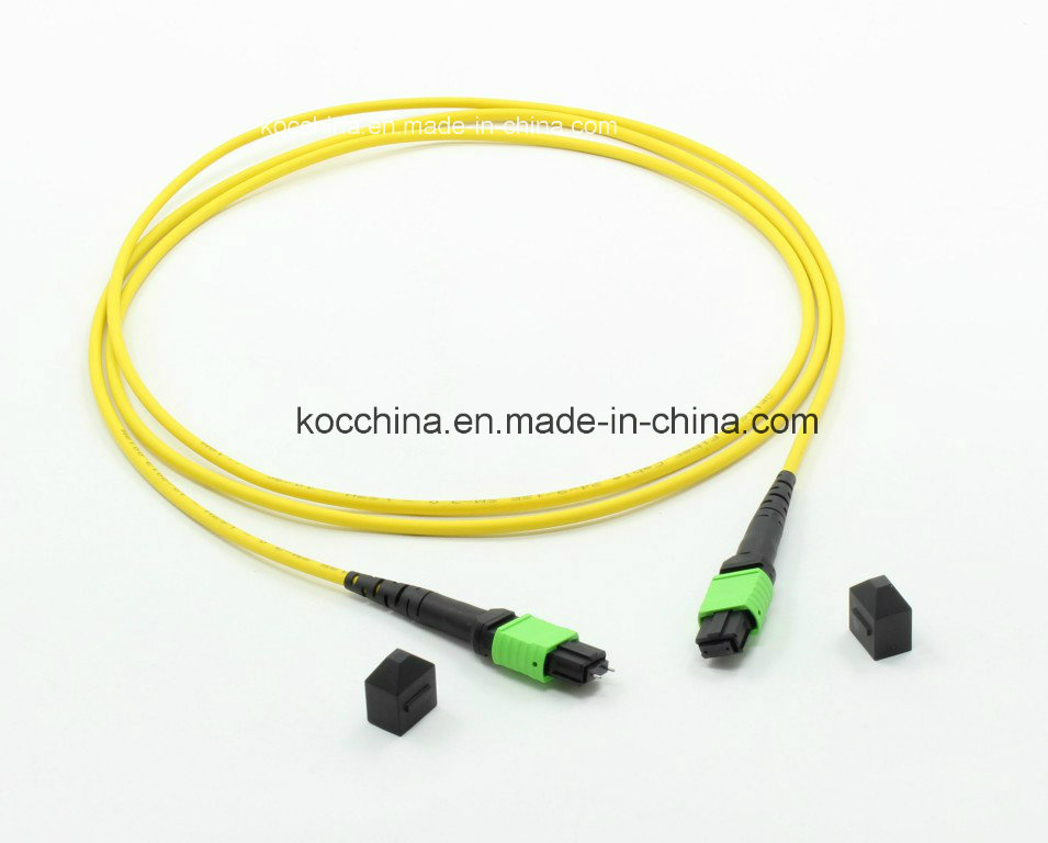 MTP/MPO 12cores Fiber Optic Patch-Cord