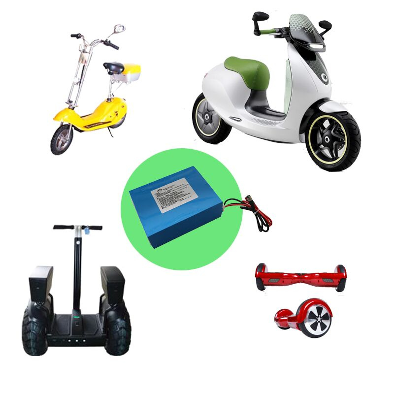 Replacement Silver Fish Electric Bikes Battery Pack 24V