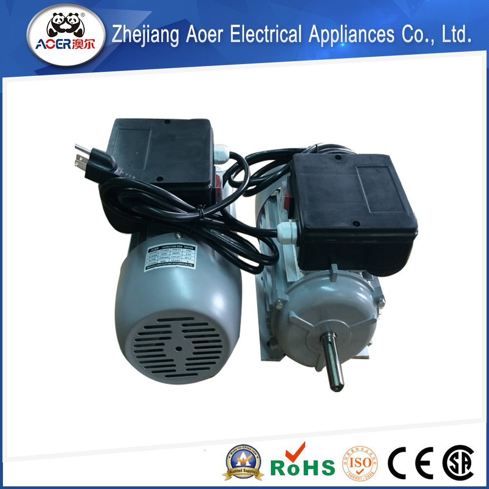 Single Phase Asynchronous High Torque 110 Volt AC Gear Motor
