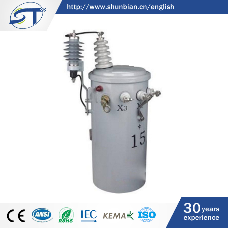 Single Phase Oil-Immersed Pole Mounted Transformer