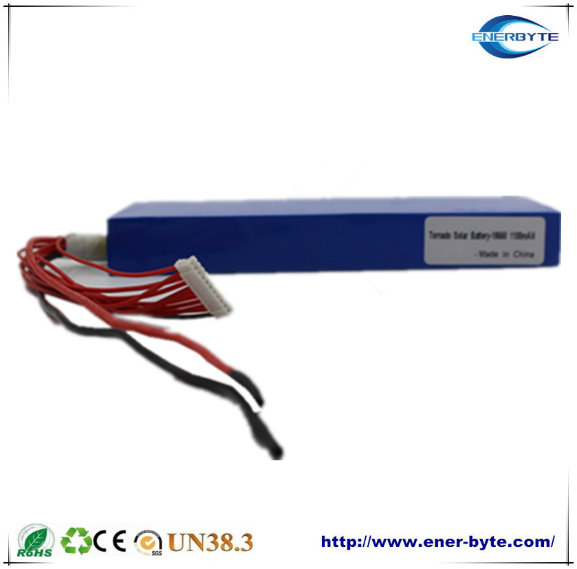 Rechargeable LiFePO4 Battery Pack 32V1.1ah