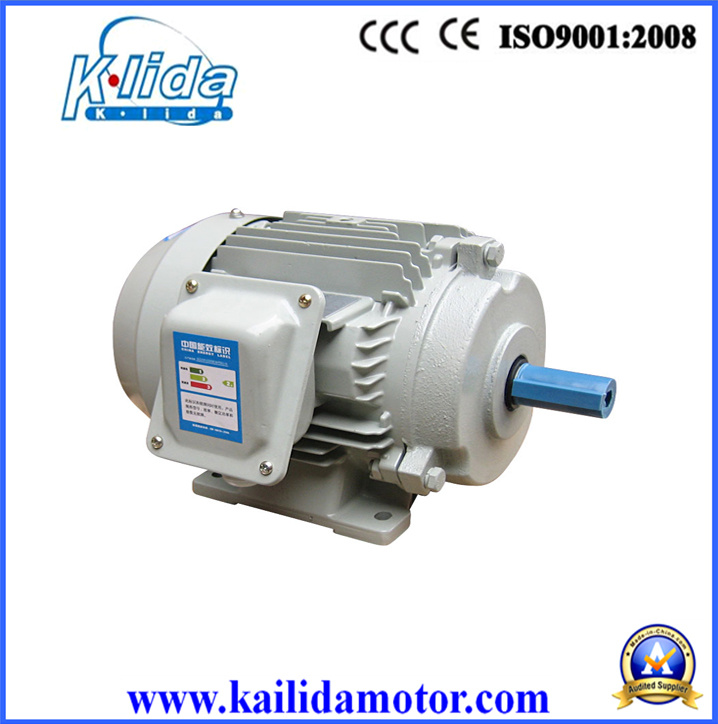 IEC Standard High Efficiency Three-Phase Motor