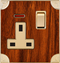 British Standard 13A Square-Pinned Switched Socket with Neon (N6)