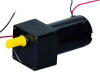AC Induction Motor