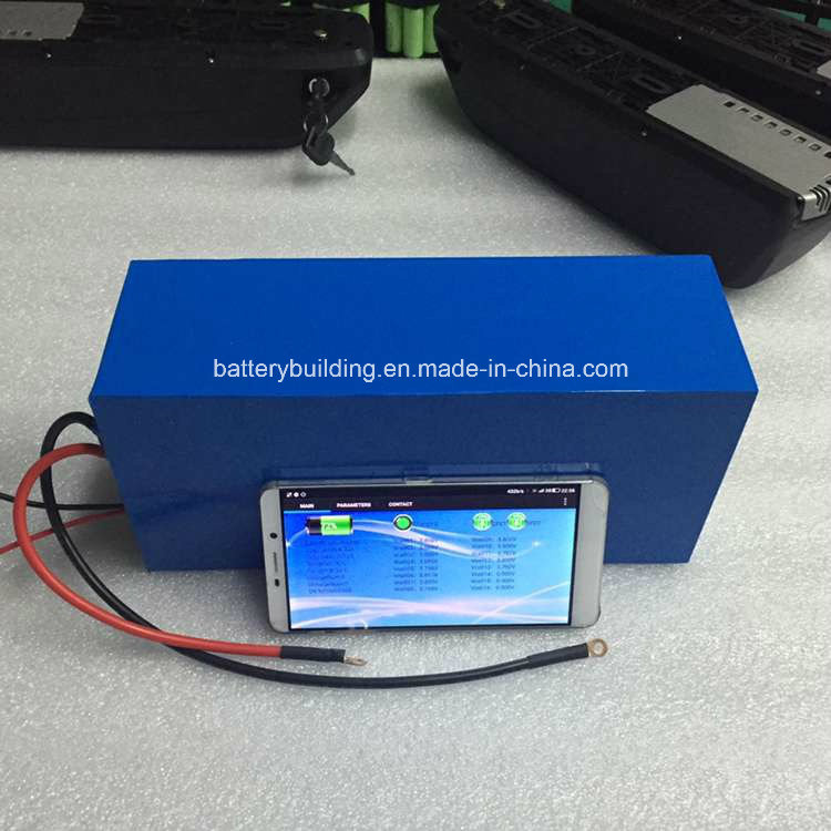 48V 20ah Lithium Battery Pack for E-Scooter or E-Bike