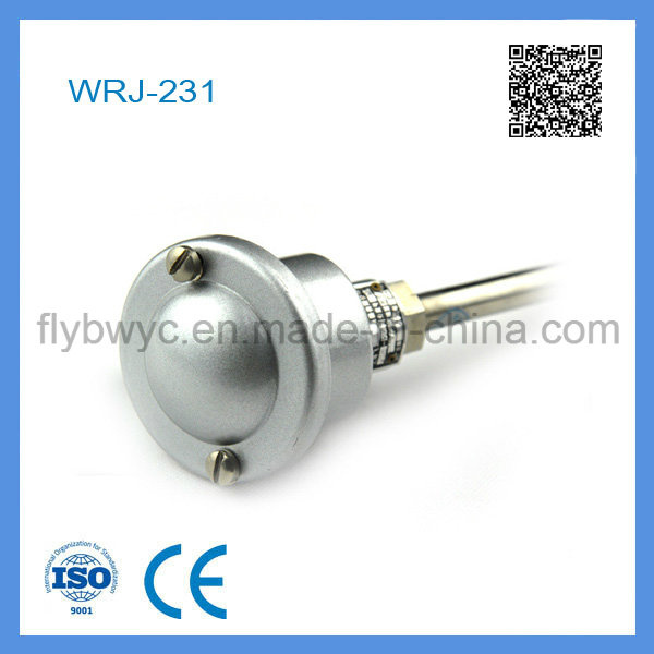 Wrj-231 Water-Proof Connection Box Thermocouple