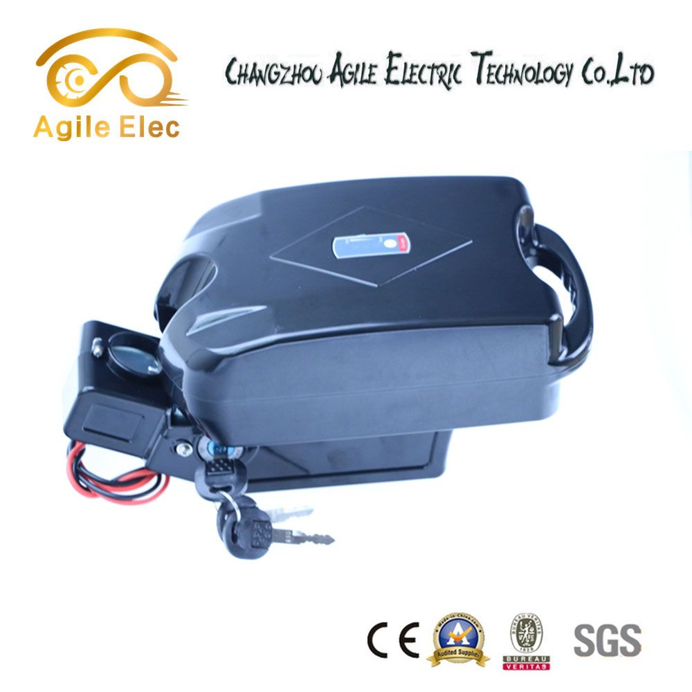Li-Polymer Samsung Electric Bike Motor Battery with Mini Controller Box