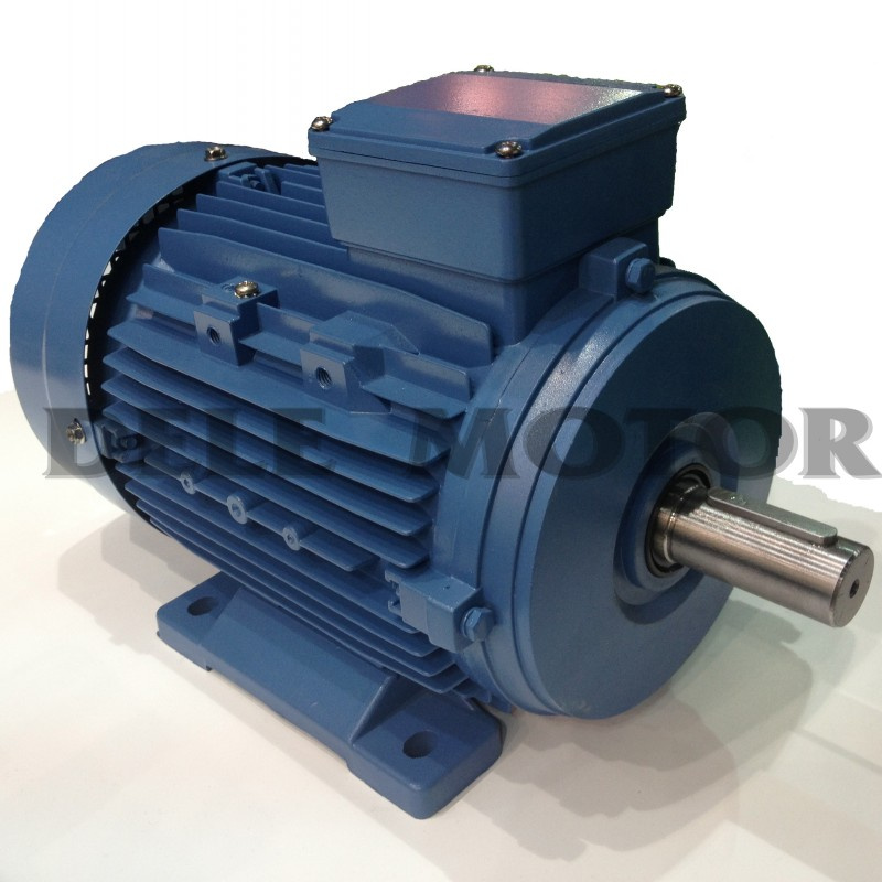 Ms7118-90W-B3 Electric Motor