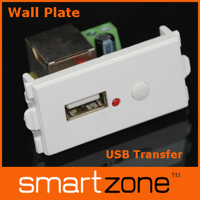 USB wall plate Module, AV Face Plate (9.1131)