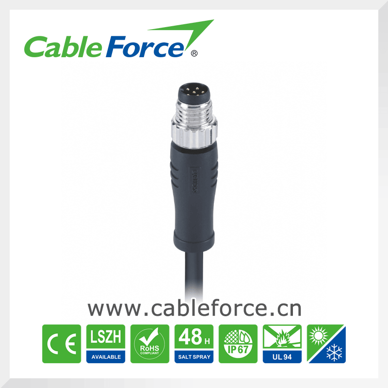 M8 6 Pin Male Stright Circular Connector for Sensor and Actuators with Molded Cable