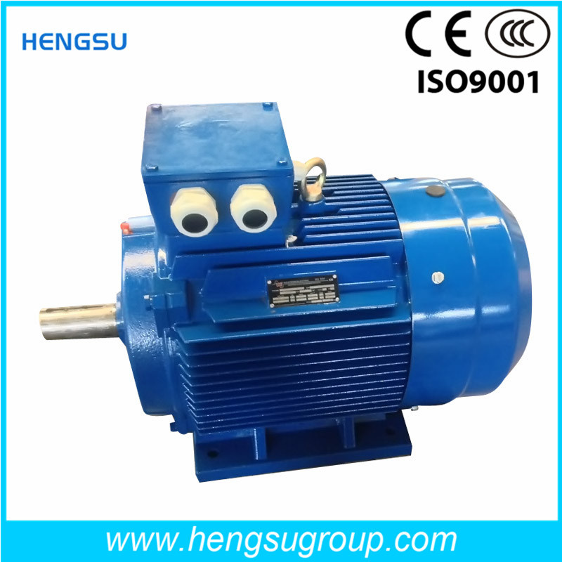 Ye3 0.25kw Three-Phase Cast Iron Induction Electric Motor