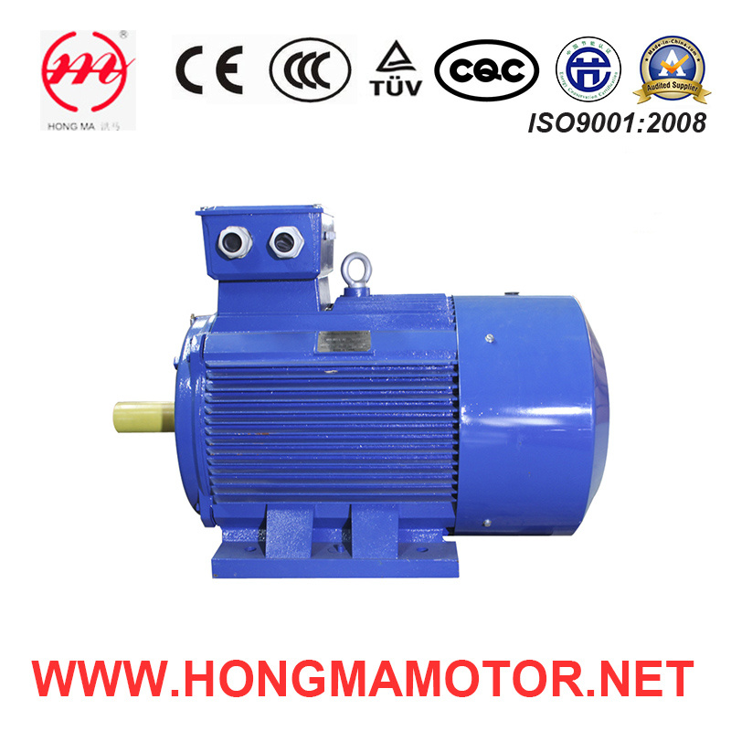 Ie1 (EFF2) Series Cast-Iron Housing Asynchronous Electric Motor with 2pole-22kw