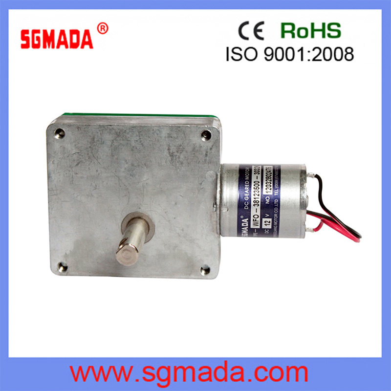 Electrical Worm Micro Motor with Ce, RoHS