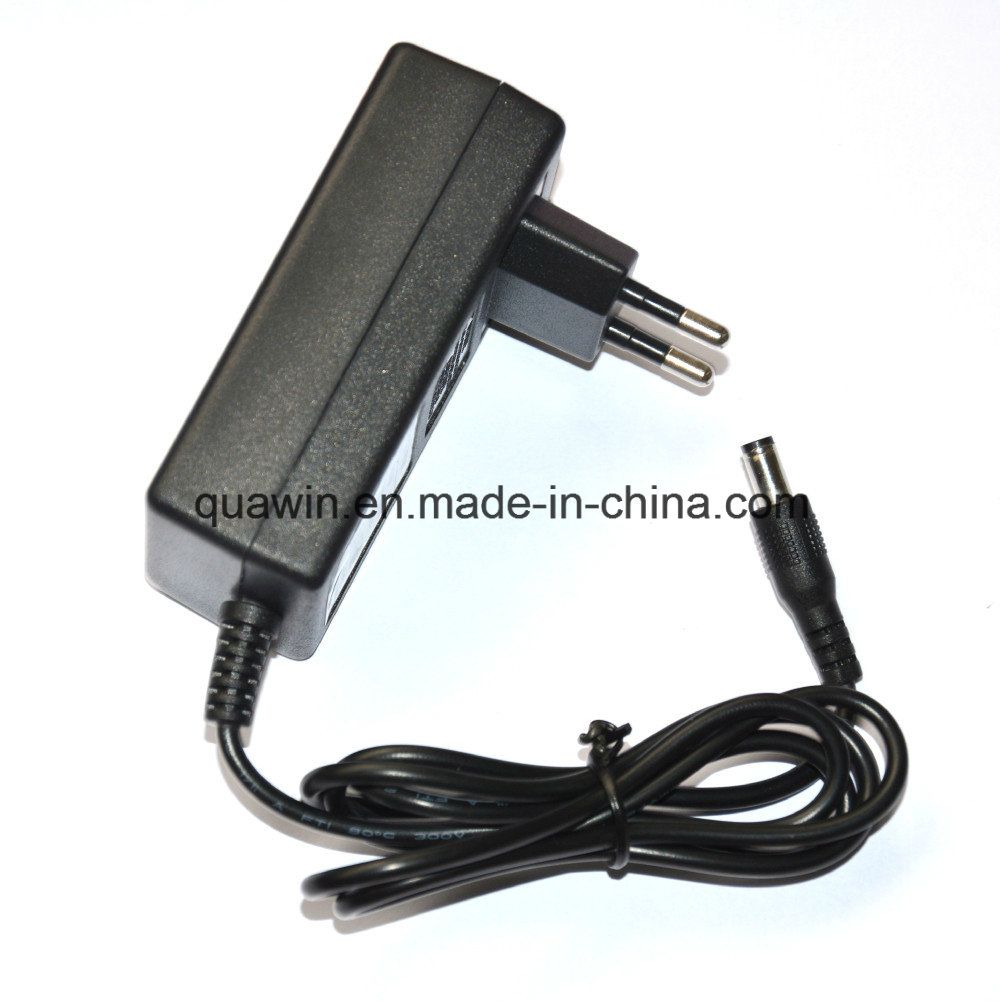 12V 1A Wall Charger for Lead Acid Battery
