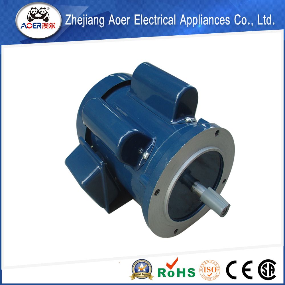 Sophisticated Technology RoHS Certified Reliable Reputation Motor AC