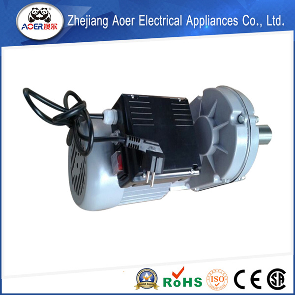 Delicate ISO 9001 Factory Deft Design One Phase AC Induction Motor