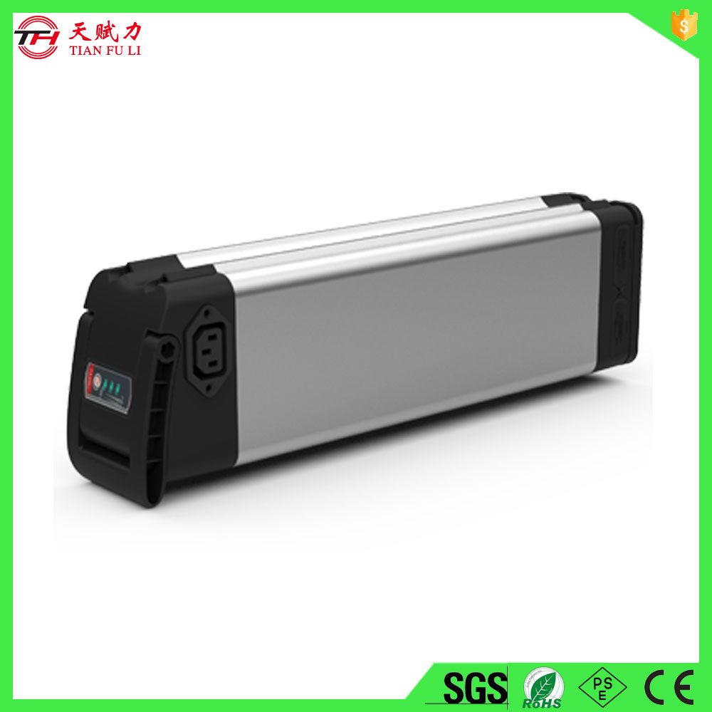 Silver Fish 24V Lithium Ion Battery Pack with Charger for E-Bike