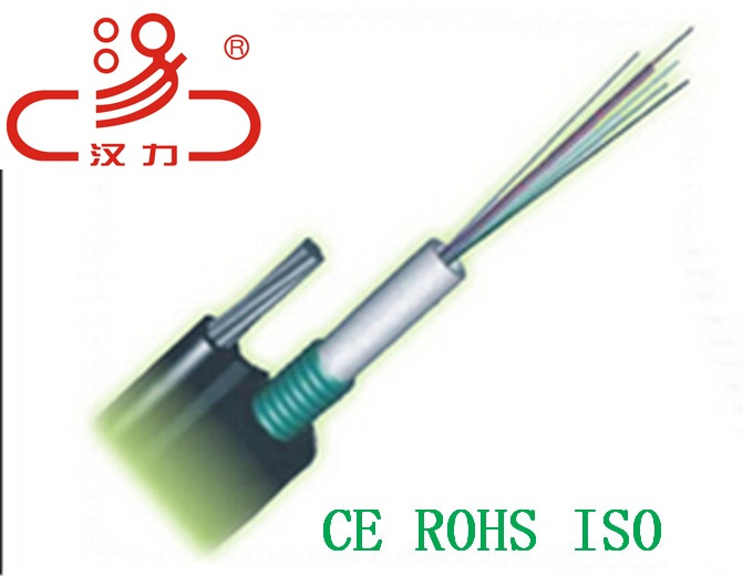 Optical Fiber Cable GYTA, GYTS Gytw 2- 48core