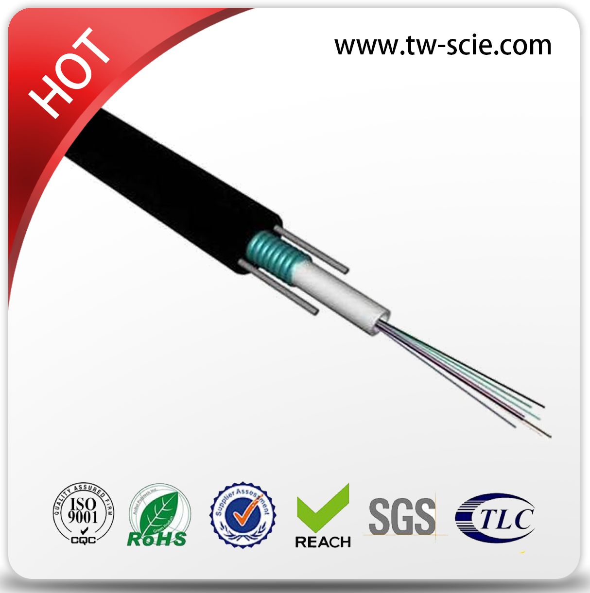 24 Core Sm Aerial Installation Optical Fiber Cable GYXTW