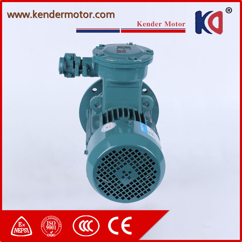 High Efficiency Induction Explosion Proof Motor
