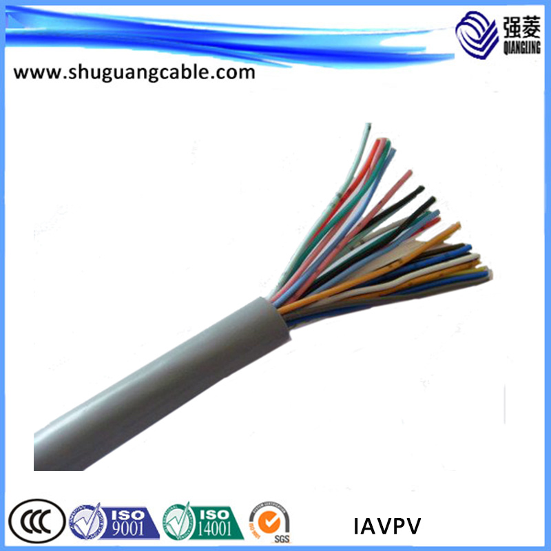 Iaypv PE Insulated PVC Sheathed Cu Wire Woven Individual Screened