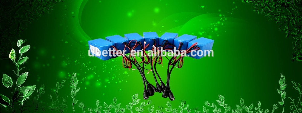 12V 3ah Lithium Battery Pack LiFePO4 Battery for E-Tools Battery