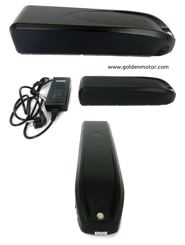High Quality LiFePO4 48V 11.6ah Battery Pack for Electric Bikes, Dolphin Type