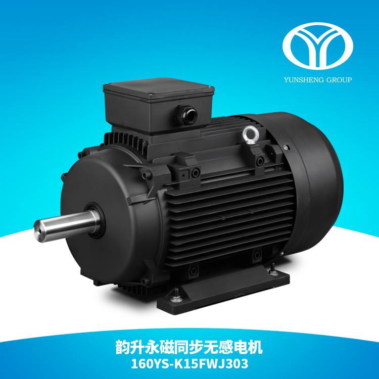 AC Permanent Magnet Synchronous Motor (22kw 1500rpm)