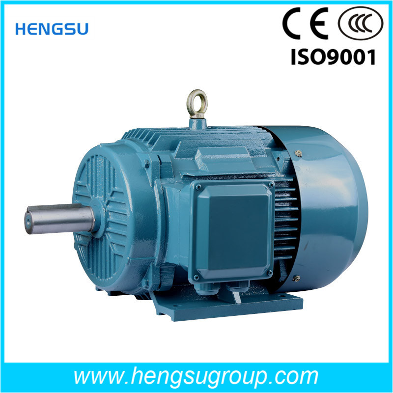 Y2 Cast Iron Three Phase AC Induction Electric Motor