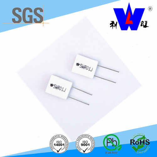 Rgc (RX27-6) Wirewound Resistor with Ceramic Encase