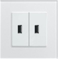 Ce/TUV/BV Cerified BS Double USB 1000mA Socket